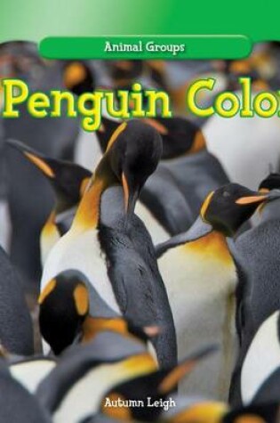 Cover of A Penguin Colony