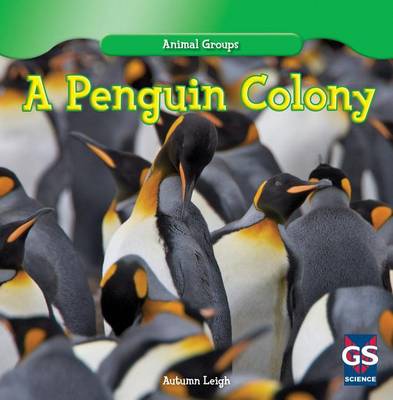Book cover for A Penguin Colony