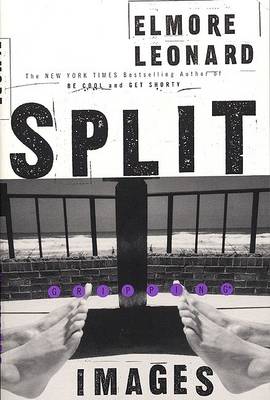 Book cover for Split Images