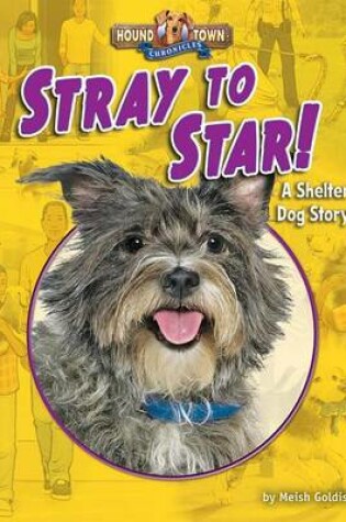 Cover of Stray to Star!