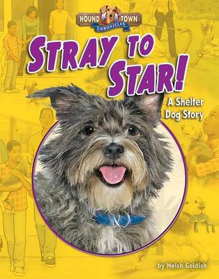 Book cover for Stray to Star!
