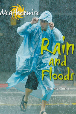 Cover of Rain and Floods