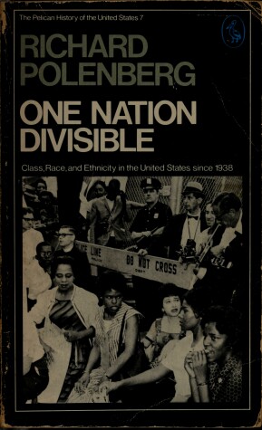 Cover of One Nation Divisible