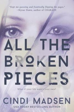 Cover of All the Broken Pieces