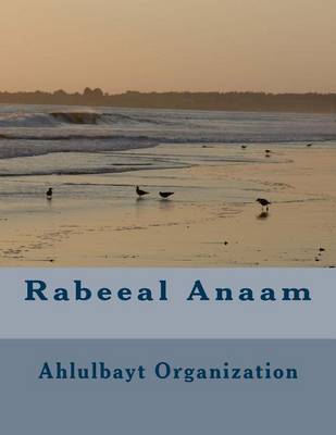 Book cover for Rabeeal Anaam