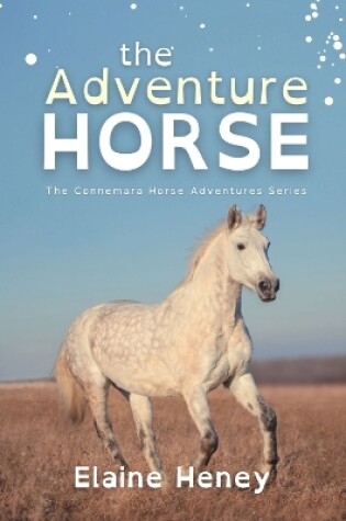 Cover of The Adventure Horse - Dyslexia Friendly