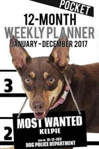 Cover of 2017 Pocket Weekly Planner - Most Wanted Kelpie