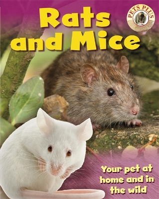 Book cover for Rats and Mice