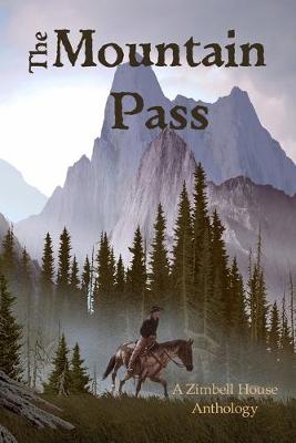 Book cover for The Mountain Pass