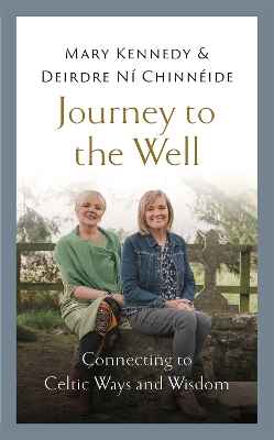 Book cover for Journey to the Well