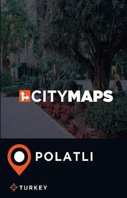 Book cover for City Maps Polatli Turkey