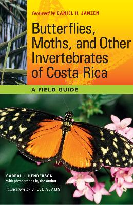 Book cover for Butterflies, Moths, and Other Invertebrates of Costa Rica