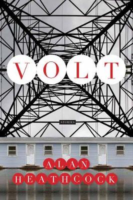 Book cover for Volt