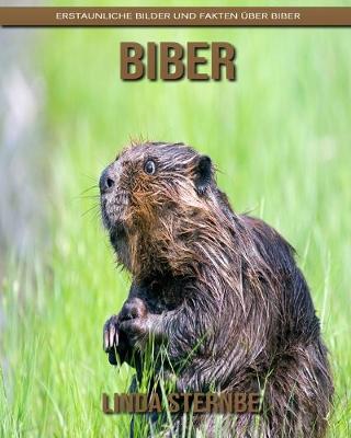 Book cover for Biber