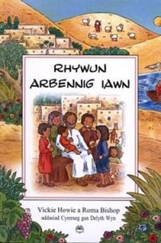 Cover of Rhywun Arbennig Iawn