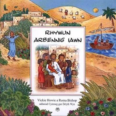 Book cover for Rhywun Arbennig Iawn