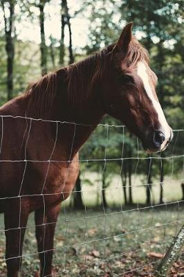 Book cover for Horse Dreams