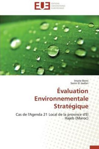 Cover of valuation Environnementale Strat gique