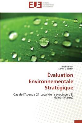 Cover of valuation Environnementale Strat gique