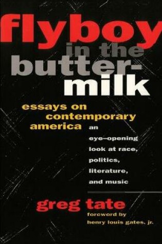 Cover of Flyboy in the Buttermilk: Essays on Contemporary America