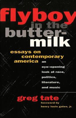 Book cover for Flyboy in the Buttermilk: Essays on Contemporary America