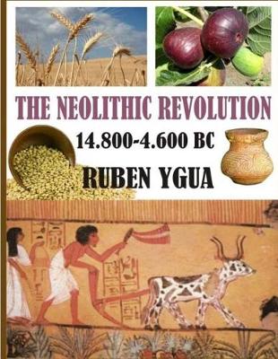 Book cover for The Neolithic Revolution