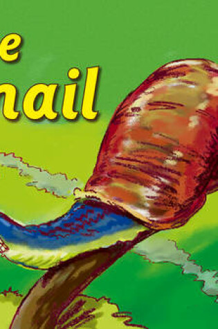 Cover of The snail