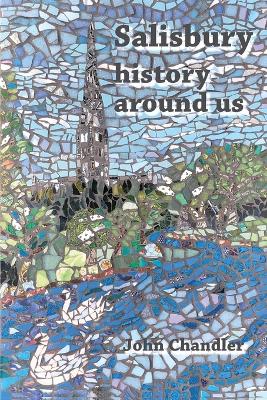 Book cover for Salisbury, history around us