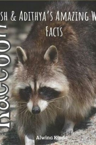 Cover of Raccoon