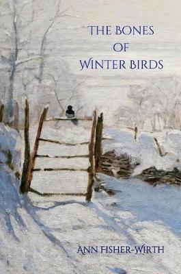 Book cover for The Bones of Winter Birds