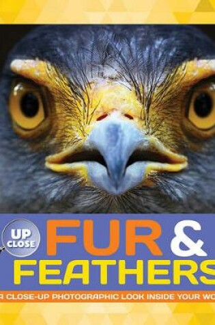 Cover of Fur & Feathers