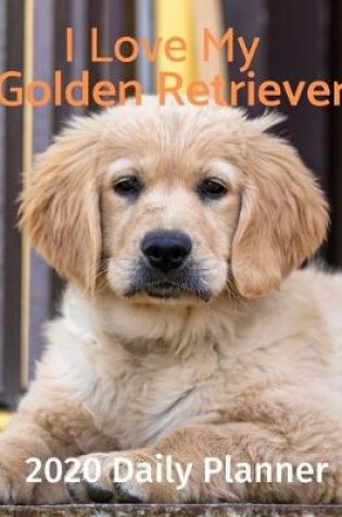 Cover of I Love My Golden Retriever