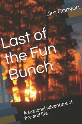 Cover of Last of the Fun Bunch