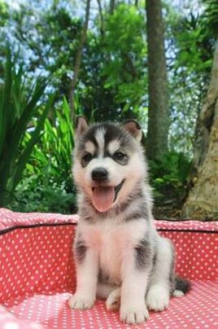 Cover of Cute Little Husky Puppy Journal