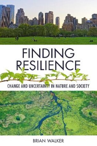 Cover of Finding Resilience