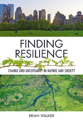 Book cover for Finding Resilience