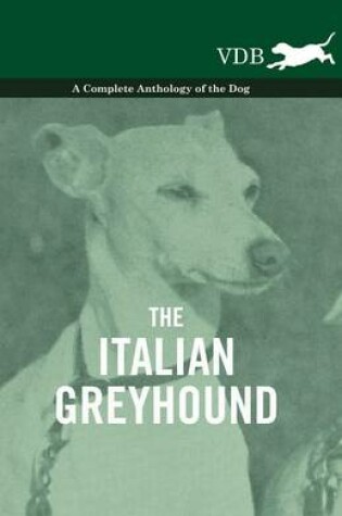 Cover of The Italian Greyhound - A Complete Anthology of the Dog