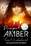 Book cover for Project Amber