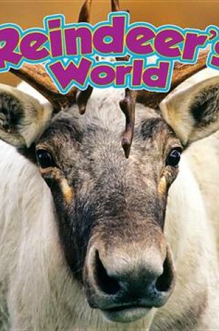 Cover of A Reindeer's World