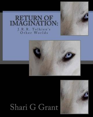 Book cover for Return of Imagination