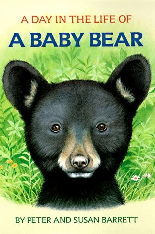 Cover of A Day in the Life of a Baby Bear