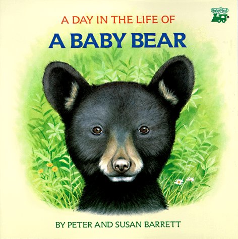 Book cover for A Day in the Life of a Baby Bear