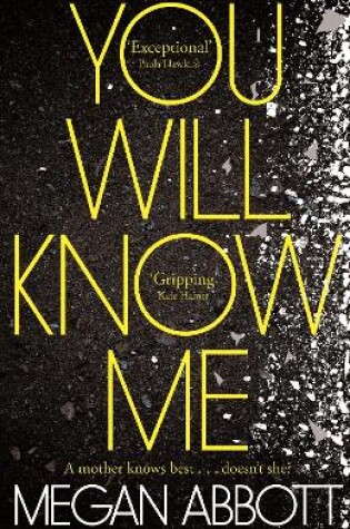 Cover of You Will Know Me