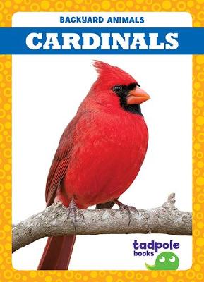 Book cover for Cardinals