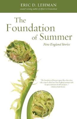 Book cover for The Foundation of Summer