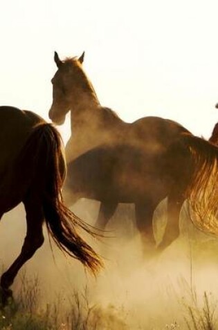 Cover of Rounding Up the Wild Horses in Montana