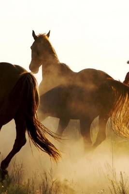 Book cover for Rounding Up the Wild Horses in Montana