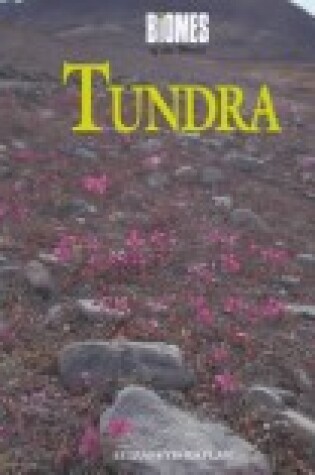 Cover of The Tundra