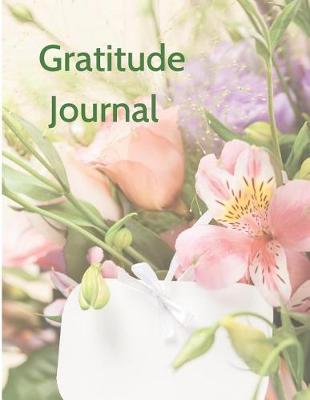 Book cover for Gratitude Journal