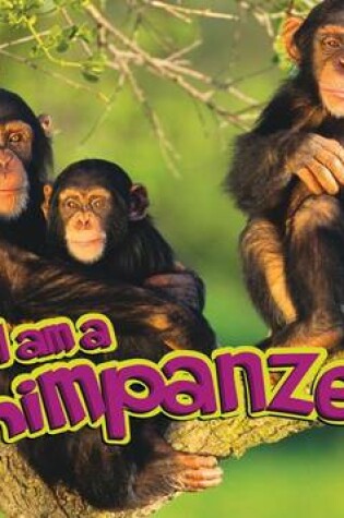 Cover of Chimpanzee